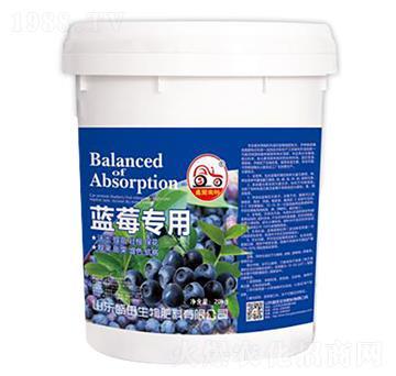 �{ݮ���üך���-ʢ����