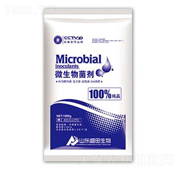 ΢�������-ʢ������