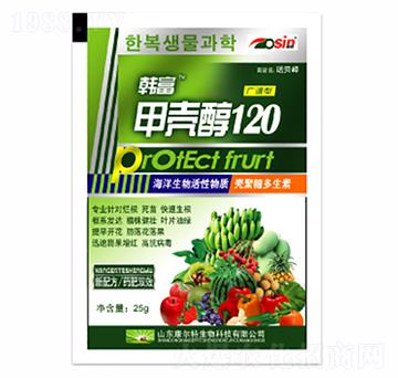 �ך���120-�n��-������