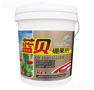 �{ؐ����}-������