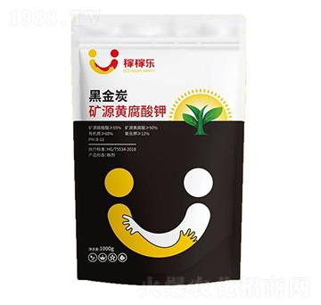 �VԴ�S�����-�ڽ�̿-�ڼژ�(l��)