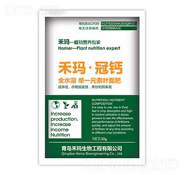 �̬������}-�̬�����