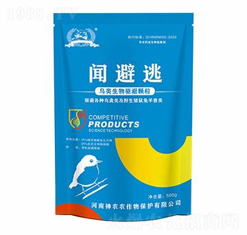 ���i�ëF������(q��)�܄�-����-�������r(n��ng)