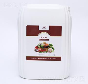 ���w��-��������