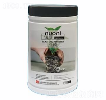 牛根-諾尼-紐歌潤