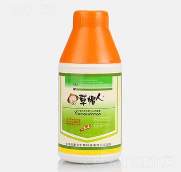 �ЙC(j��)�B(t��i)�������L������-��ñ��-�￵��