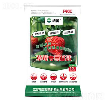 草莓有機(jī)栽培基質(zhì)-培蕾