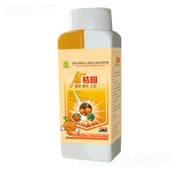 ��ۈ@�~���-��������