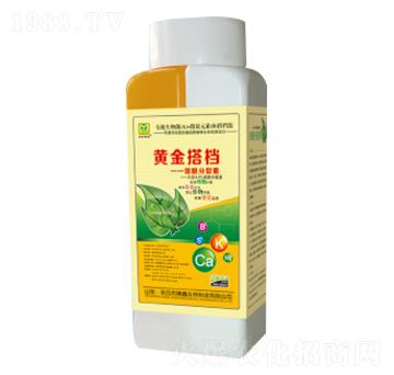 ��(x��)��������-�S���n-��������