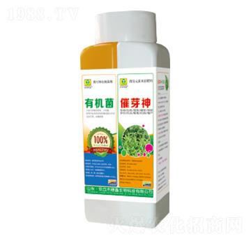 �ЙC��+��ѿ��-��������