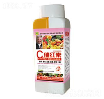 �߼t���~���-��������