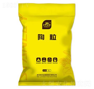 ����-ʷ����