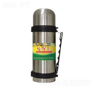 �����أ�����-��������