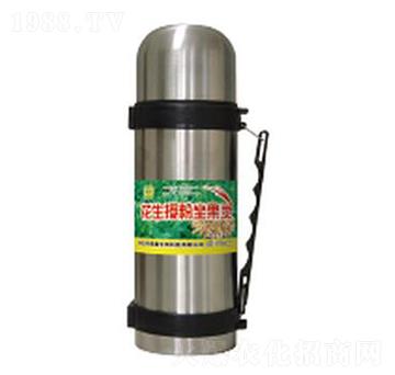 �����ڷ������`-��������