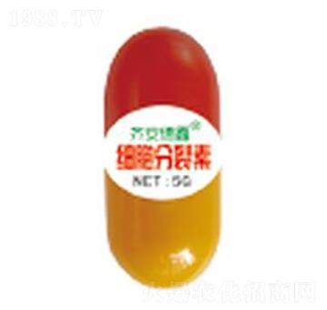 5g����������-��������