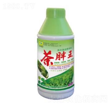 ������-��������