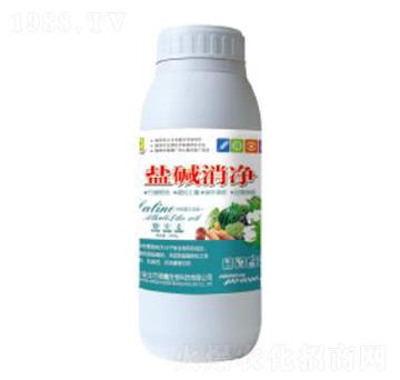 1000ml�}�A����-��������