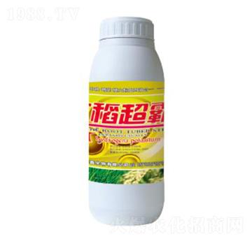 ������-��������