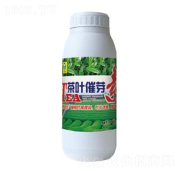 ���(sh��)��ѿ��-��������