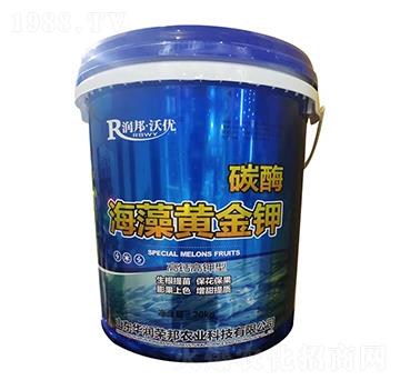 ���}�����̼ø�����S���-��(r��n)��փ�(y��u)-�A��(r��n)�s��