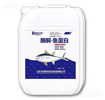 ø�⡤�~����-��(r��n)��փ�(y��u)-�A��(r��n)�s��