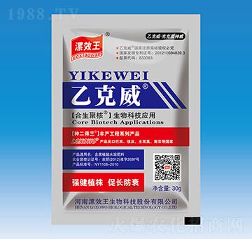 �ҿ���-�N������