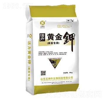 ���ߌ�(zhu��n)�û����S���-����ţ