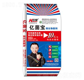 10�|���΢�������-