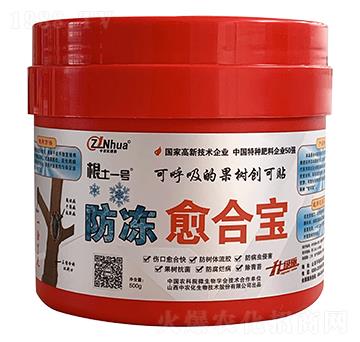 �������ό�-����һ̖-