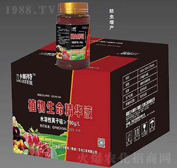 防蟲(chóng)增產(chǎn)型-植物生命精華液-大化肥業(yè)