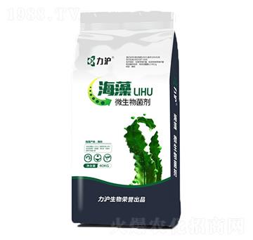 海藻微生物菌劑-力滬生物