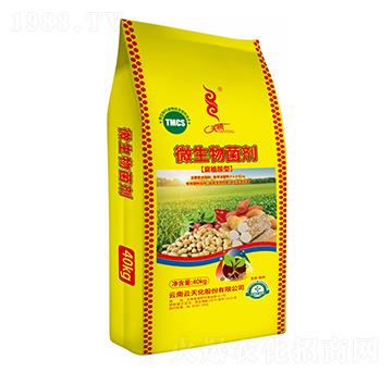 ��ֲ����΢�������-���v-���컯