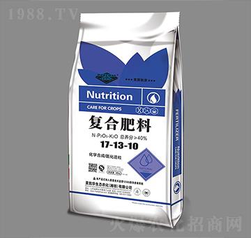 ���������ͺϷ���17-