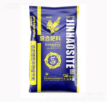 �񲶏�(f��)�Ϸ���16-14-16-��˹���r(n��ng)�I(y��)