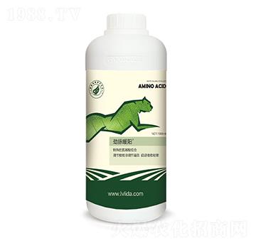 ���{(di��o)��(ji��)���״��M(j��n)��-���}ů�(y��ng)-�G���_(d��)