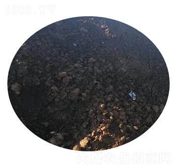 ţ�S�ЙC��-�r��ʘI(y��)