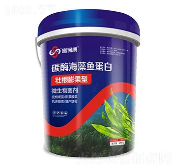 壯根膨果型碳酶海藻魚蛋白-施?？? width=
