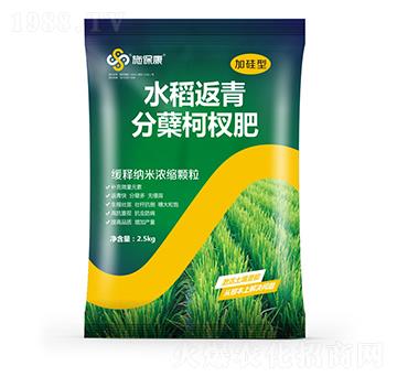 加硅型水稻返青分蘗柯杈肥-施?？? width=