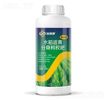 1000ml加硅型水稻返青分蘗柯杈肥-施保康