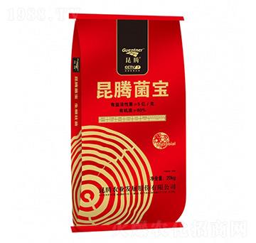 ΢�������-���v����-���v����