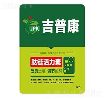 ��朻�����-���տ�