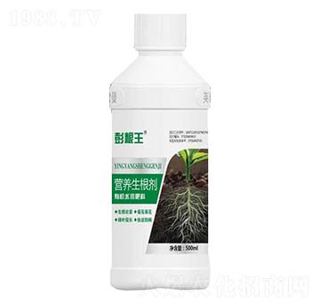 �I(y��ng)�B(y��ng)������-�����-�W��