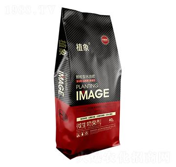 �w����ˮ�ܷ�-ֲ��-�޺�����