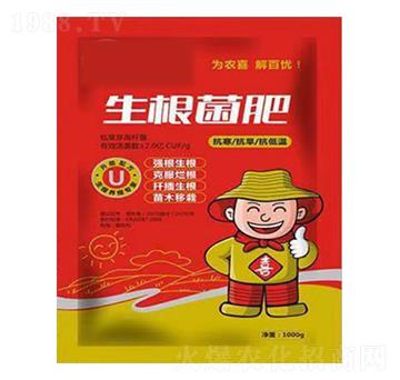 ��һ����������-���_����