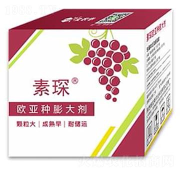 �W���N�����-���-���r(n��ng)�A