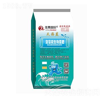 ����΢�������-�캣�{-ס�̇��H