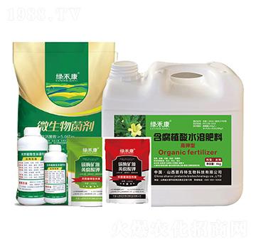 ����ϸ߮a���÷�-�G�̿�-�x����