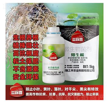 光合傳導(dǎo)素+爆生根-益稼喜-豫之禾
