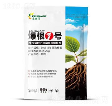 爆根1號-豐賽得