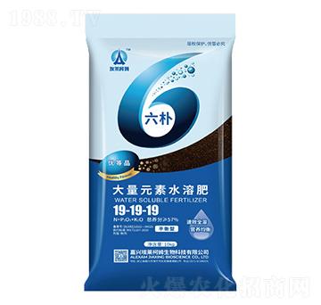 活肽酶平衡大量元素水溶肥19-19-19-六樸-埃萊柯姆